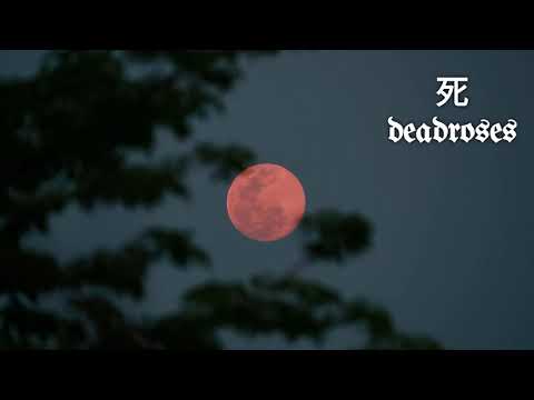 M83 vs Creedence Clearwater Revival - Midnight Moon (Legendado)