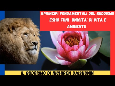 ✅#I Principi Fondamentali Del Buddismo  - Esho funi,  unicita' di vita e ambiente. (esho-funi) ➤