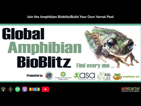 Citizen Science Podcast: Join the Amphibian Bioblitz/Build Your Own Vernal Pool (aired 2023-04-03)