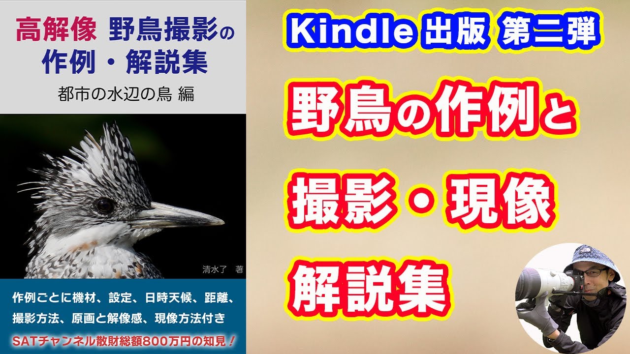 【高解像】野鳥撮影の作例・解説集「水辺の鳥 編」【Kindle出版】