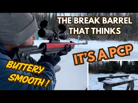 Practical Accuracy - Can Bottoms @ 50 yds Offhand Norica Omnia ZRS Fire .22 cal