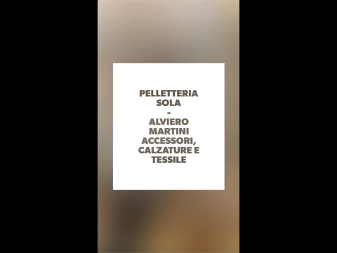 COLLEZIONE AI20 ACCESSORI ALVIERO MARTINI - PELLETTERIA SOLA