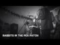 Rabbits In The Pea Patch (Maceo Parker by The Funkaholics). FAQ Cafe 22.12.2016