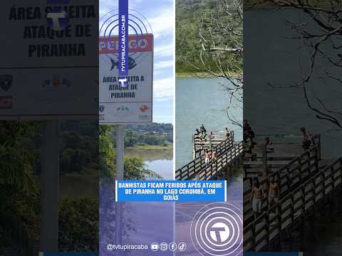 BANHISTAS FICAM FERIDOS APÓS ATAQUES DE PIRANHA NO LAGO CORUMBÁ, EM GOIÁS