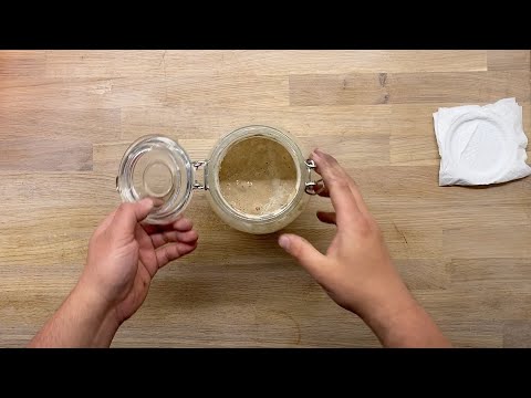 Sauerteig bei Zimmertemperatur