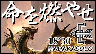 【弓編】覚醒武器が強すぎるから防具着なくても金レイア余裕だよね【MHW:アイスボーン】
