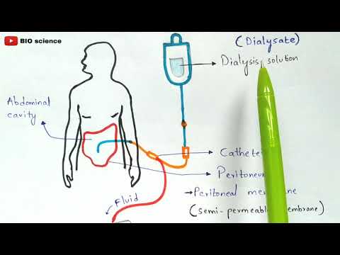 STRUCTURE OF HEART OF FROG BY PHANINDRA GUPTA
