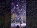 Scarlett At The Gazillion Bubble Show 2017