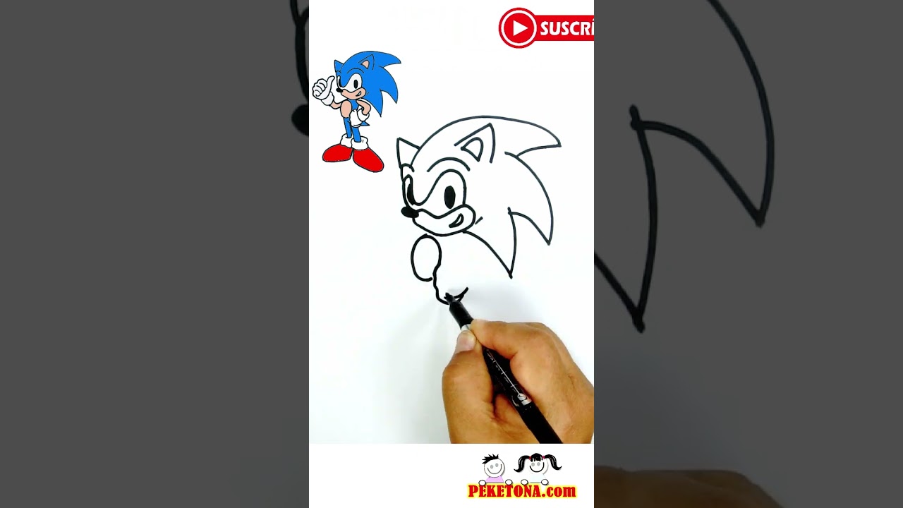 Dibujando SONIC