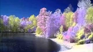 Hadith Nawawi 28 "L'attachement à la sounna" arabe ST FR