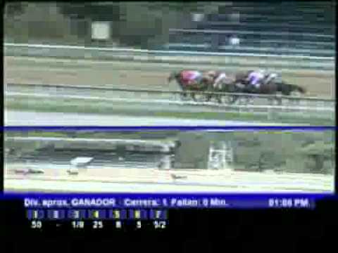 1ERA CARRERA SABADO 25 FEB LA RINCONADA