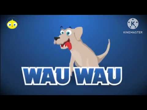 PULCINO PIO — Falussa Piu in Another