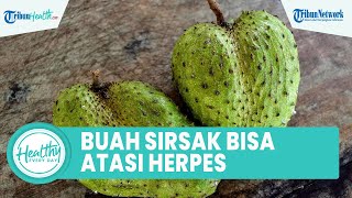 Beragam Khasiat Kandungan Nutrisi Buah Sirsak Bagus untuk Kesehatan: Obati Herpes & Cegah Kanker