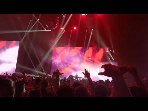 Kaskade NYE 2019 - Never Sleep Alone