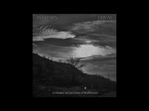 ASATTARN / ODVAS - A Glimpse into the Forest of Skullflowers (Full Album 2021)