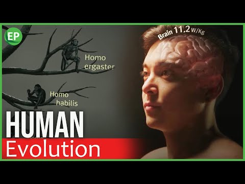 Human evolution documentary | LOST HUMANS part 1 | How many Human Species were there?