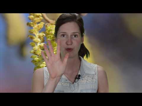 Was kann man gegen Heuschnupfen tun?