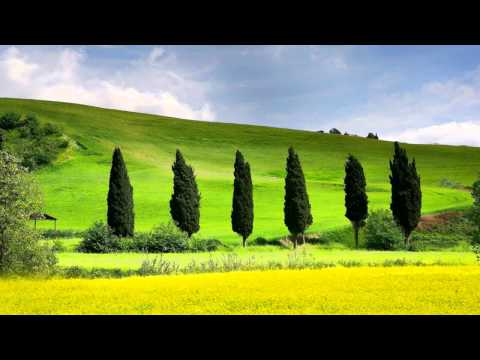 Leonid Kogan - Bach - Concerto for Two Violins in D minor, BWV 1043