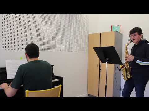 # Ecole de musique : "La panthère rose" Saxophone Pierre-Jean Mougenot