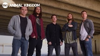 ANIMAL KINGDOM S2 | TNT