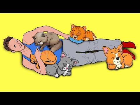 What Your Cat's Sleeping Position Reveals About Their Personality, Health and Character