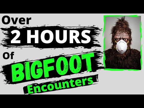 Over Two Hours of Bigfoot Encounters! Marathon #17