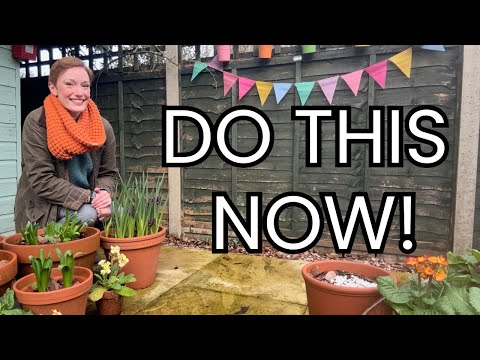 February Garden Jobs You Shouldn’t Miss (UK)