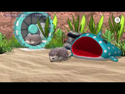 My Hedgehog