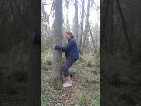 Benböj mot träd - bra för knän och nedre delen av ryggen 24:4 20