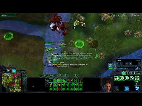 StarCraft 2, Rise Of The Split King: The Bastion Of Silvan Elves!