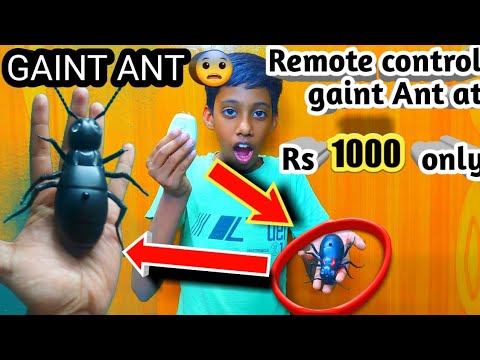 RC Gaint Ant under 1100 only? 😱 | Remote control ant for prank