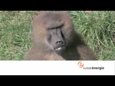 comment economiser eau chaude