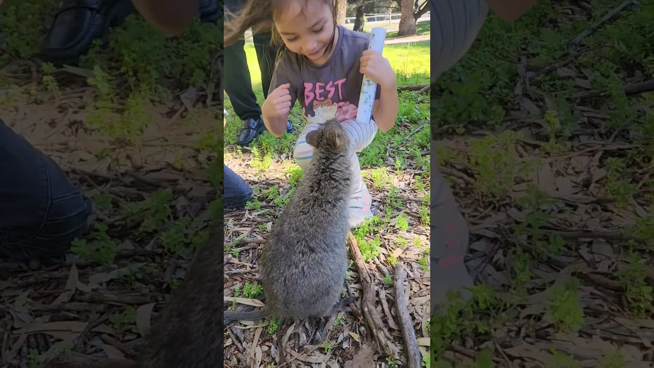 YouTube Short thumbnail