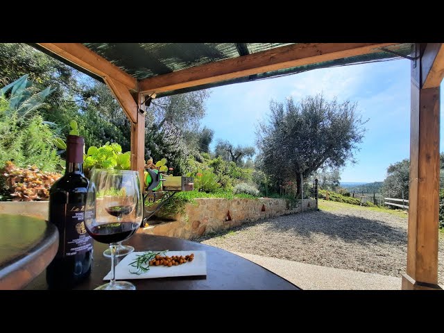 LAGUNA CELESTE - Holiday home,  olive grove and sea view - Casa vacanze, uliveto e vista mare.