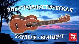 Video thumbnail for STAGG US80 SE - электроакустическое концерт укулеле by PopMusicRu