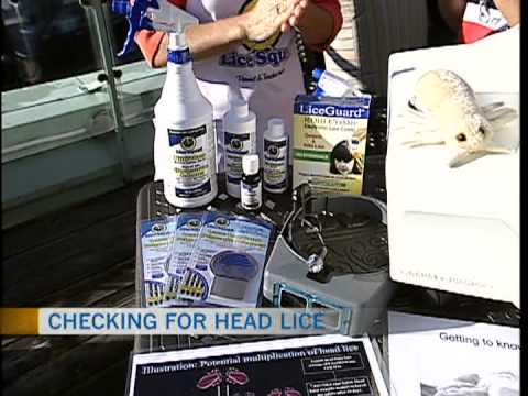 Checking For Head Lice