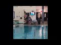 Jenna Elizarraras 2019– springboard diving 