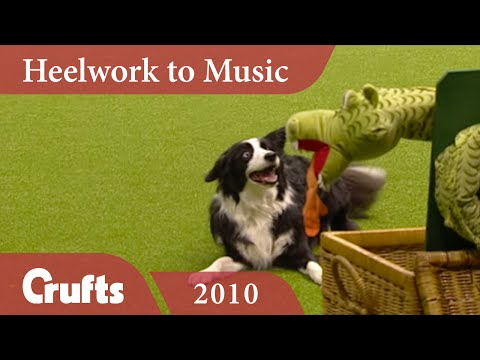 Heelwork to Music - Freestyle International Competition 2010 | Crufts Dog Show