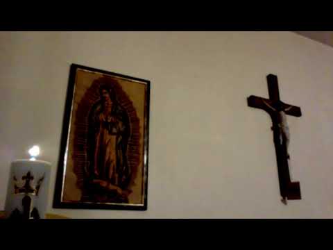 Online vo svete - Ako dosiahnuť odpustenie po umelom potrate?