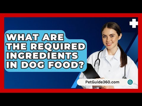 What Are The Required Ingredients In Dog Food? - PetGuide360.com
