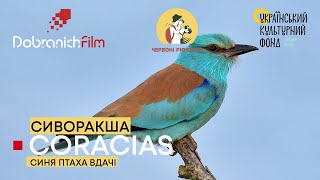 СИВОРАКША: еко-програма 