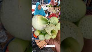 Download lagu BAMBOO SHOOTS, RED CHILI & PEELED SHALLOTS mp3 Download lagu BAMBOO SHOOTS, RED CHILI & PEELED SHALLOTS mp3