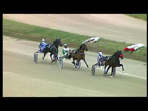 Trotto 22/01/2021 - prova di qualifica