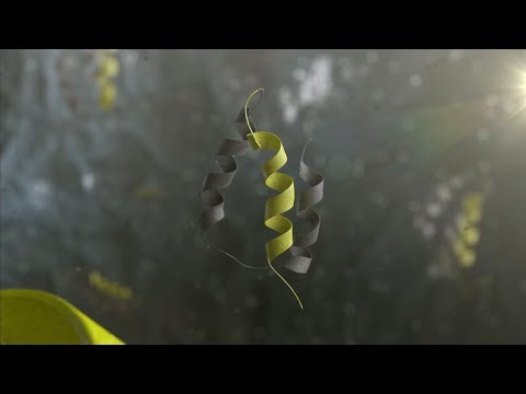 Protecting the brain