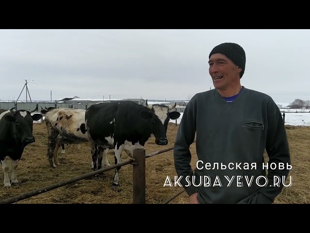 Хуҗалык тоту – яшәү рәвеше
