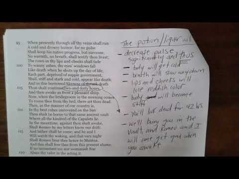 Friar Lawrence's Plan Explained