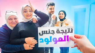 فتحنا ظرف جنس المولود وعرفوا النتيجة????❤️العيلة انصدمت ????