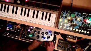 And Eventually They Will Go Insane (Negativland: Methods of Torture remix)