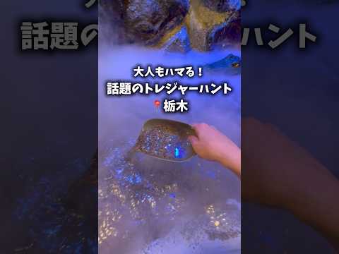 【確率2%】話題のトレジャーハントに挑戦したらカギ発見した