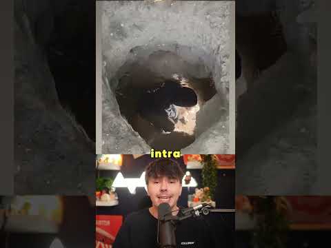 YouTuberi care au făcut lucruri complet nebune 🤯